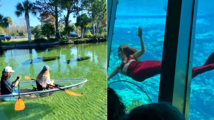 This Florida town has live mermaids performing underwater every day