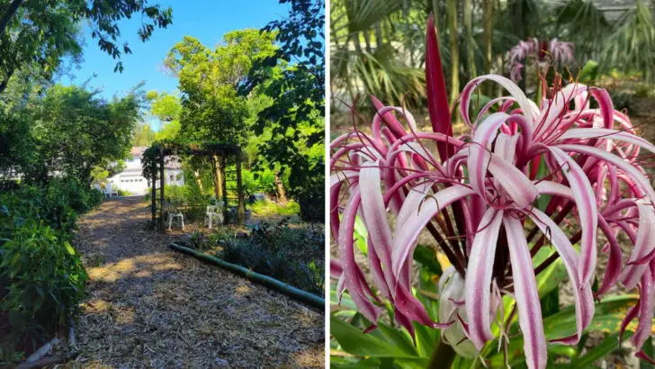 This Garden in Florida Is a Hidden Historical Treasure Where Tropical Plants Took Root