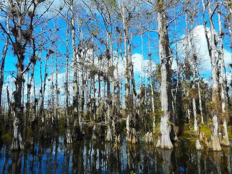 Vast Wetlands That Stretch for Miles