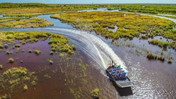 This Gigantic 720,000-Acre Florida Preserve Is Where The State Still Feels Untamed