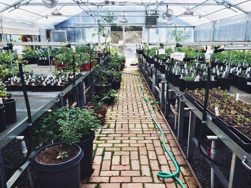 Occidental Arts and Ecology Center