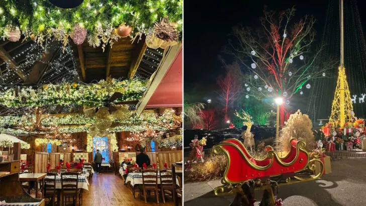 This Is The North Carolina Restaurant That&rsquo;s Best Experienced In The Heart Of Winter