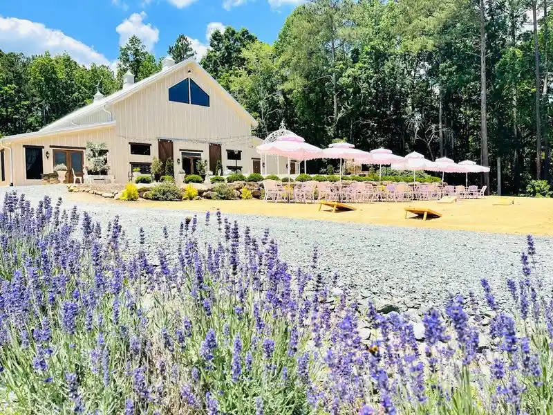 Enchanting Lavender Fields
