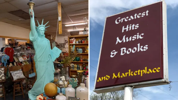 This Mississippi Bookstore Rewards Slow Browsing With Unexpected Finds
