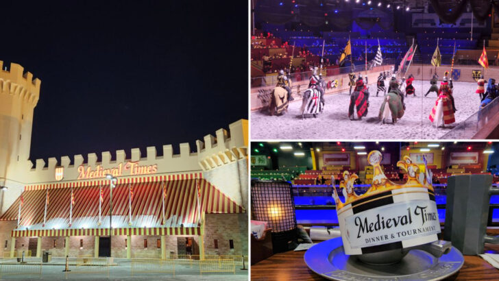 This New Jersey Castle Feast Feels Like a Live‑Action Game of Thrones Tournament