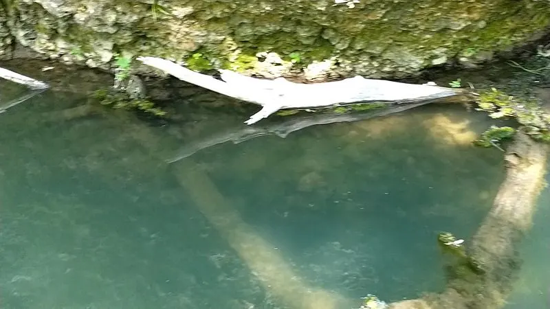 The Enchanting Ice Cave