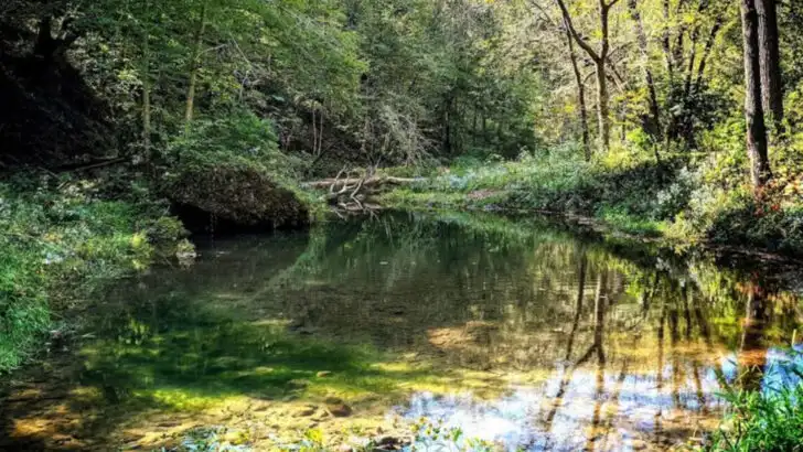 This Northeast Iowa Cave Leads to One of the State&rsquo;s Most Memorable Day Trips
