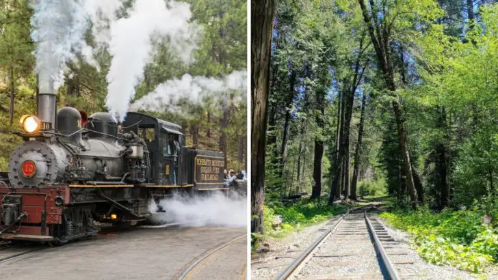 This Old-Fashioned Steam Train in California Brings the Sierra Nevada&rsquo;s Past to Life