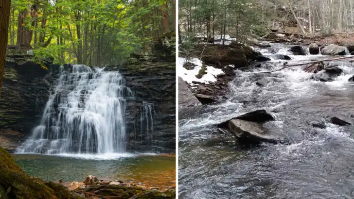 This Secluded Pennsylvania Swimming Hole Feels Like a Find You&rsquo;re Not Supposed to Know About