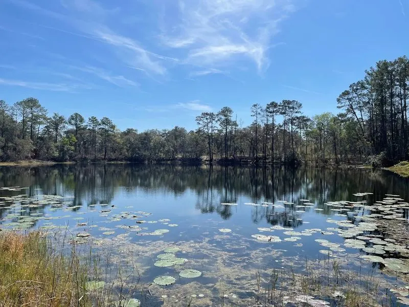 Scenic Waterways