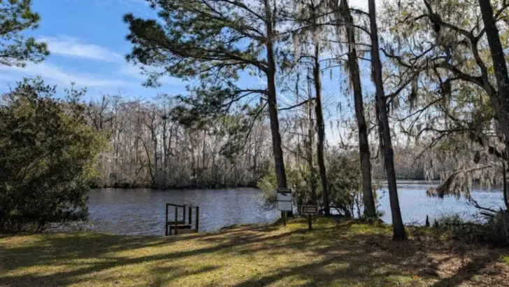 This Quiet Florida State Park Along The St. Johns River Feels Almost Untouched