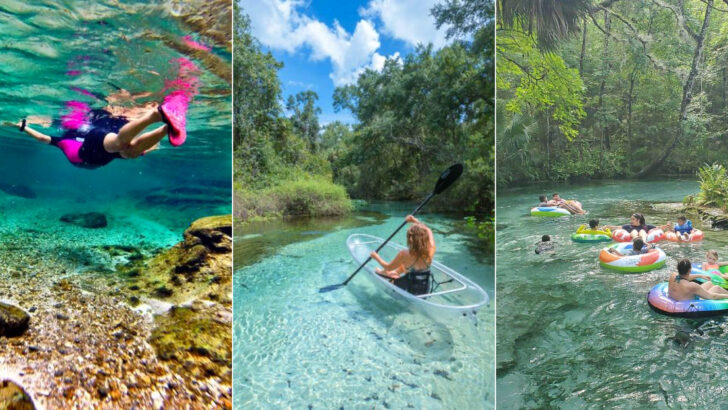 This Shaded, Crystal-Clear Lazy River Feels Like One of Florida&rsquo;s Most Relaxing Nature Escapes