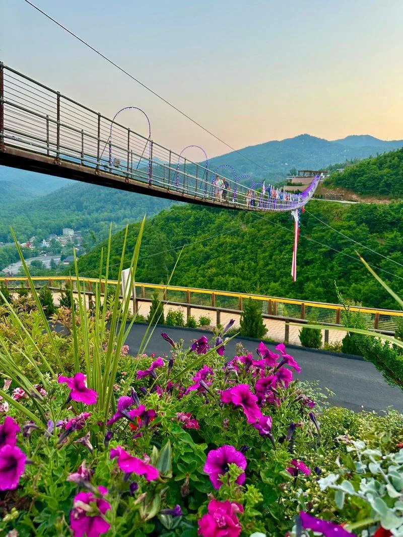 The 680 Foot SkyBridge Walk