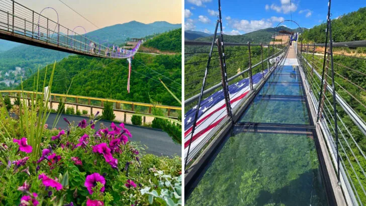 This Tennessee Park Has A Suspension Bridge That Stretches 680 Feet Over The Smoky Mountains