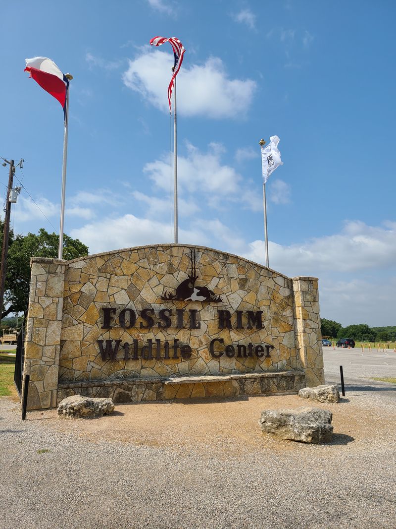 Plan Your Arrival and Best Time to Visit