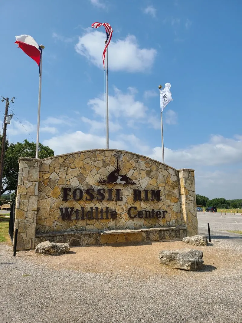 Plan Your Arrival and Best Time to Visit