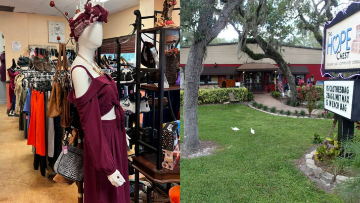 This Treasure-Filled Thrift Store In Florida Has More To Explore Than Most Malls