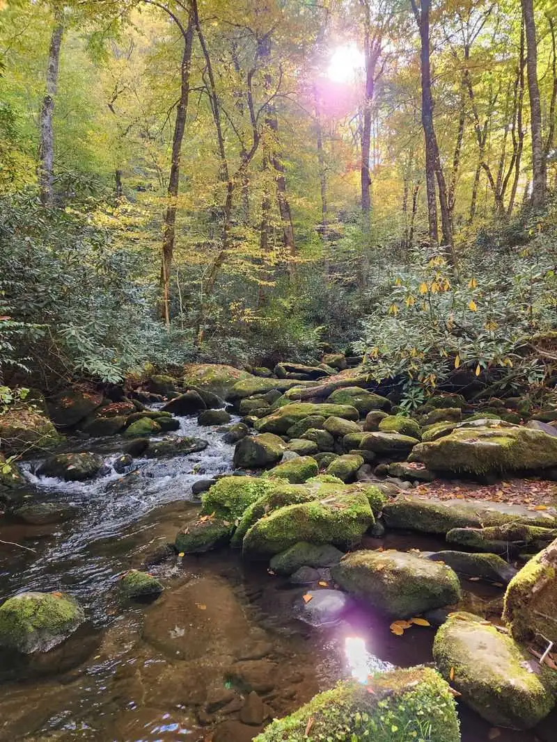 Overview: Why Joyce Kilmer feels magical