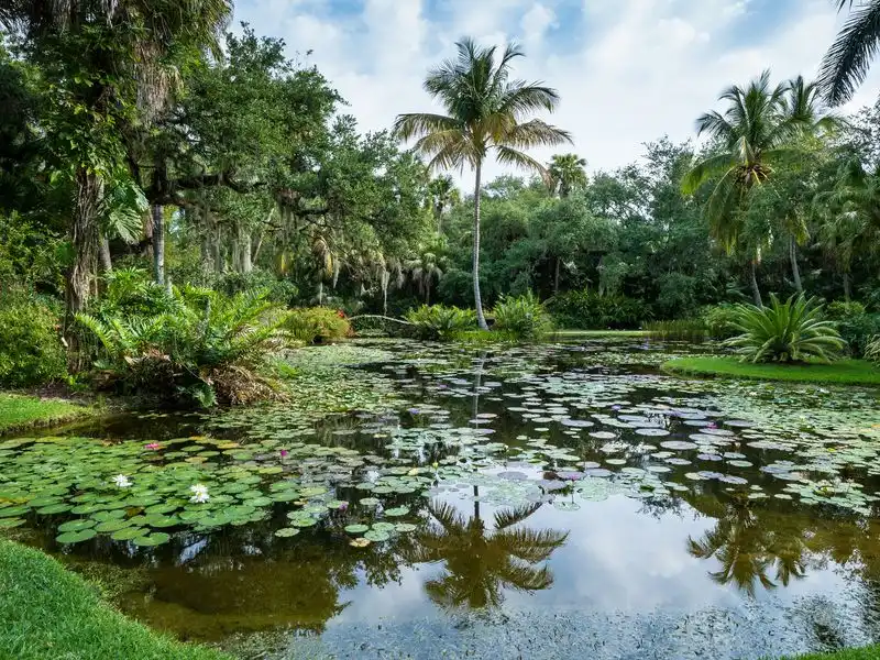 Historic Waterlily Pools and Aquatic Canopy