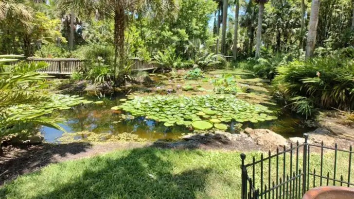 This botanical garden offers a surprisingly immersive walk through nature in Florida