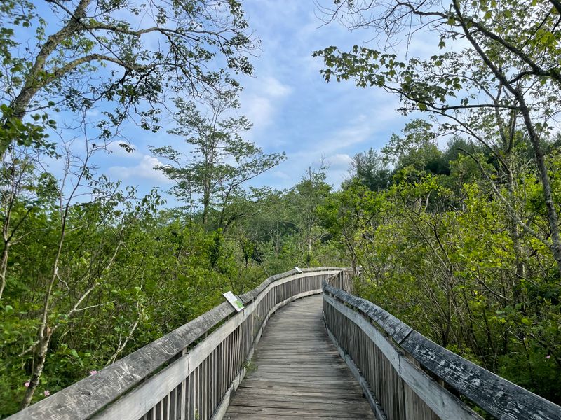 Hiking Trails