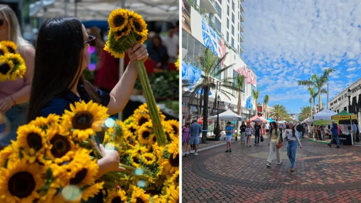 This farmers market in Florida has been a Sunday tradition for over 40 years