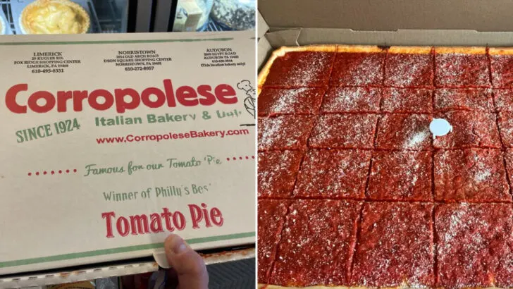 This humble Italian deli in Pennsylvania quietly serves an unforgettable tomato pie