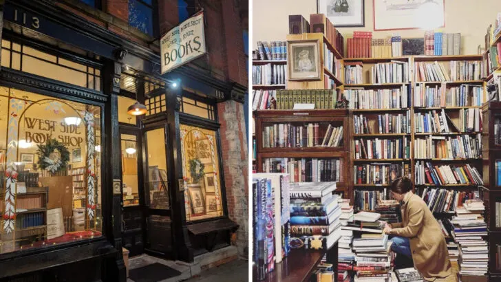 This lesser-known Michigan bookstore is pure joy for anyone who loves books