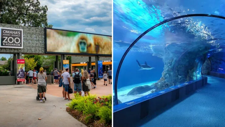This massive Nebraska zoo has a world-class aquarium where the underwater tunnel is worth the trip alone