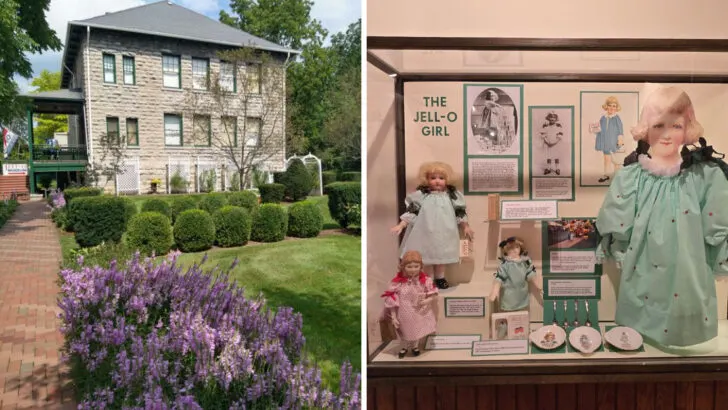 This museum in New York takes you inside America&rsquo;s most forgotten dessert