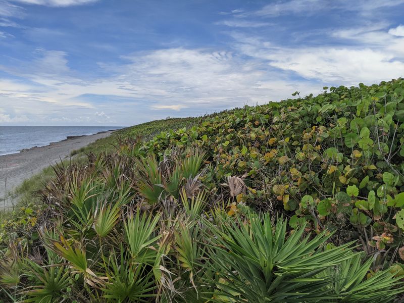 Where This Preserve Sits on Florida&rsquo;s Coast