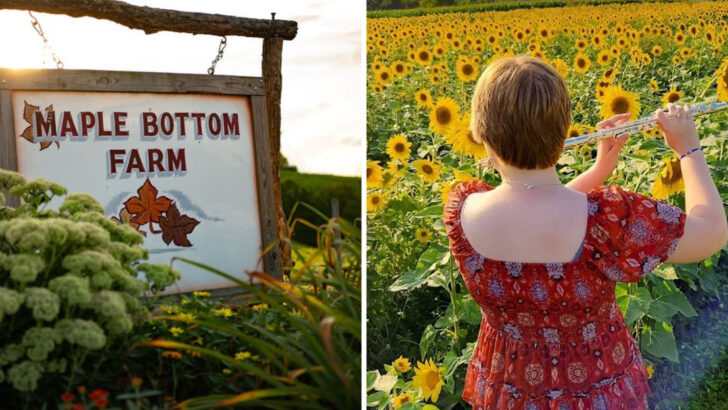 This quiet flower farm in Pennsylvania is one of the state’s most beautiful surprises