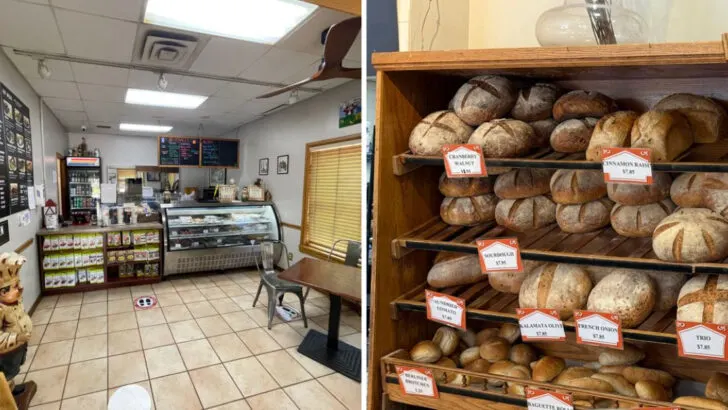 This rural Florida bakery brings classic German flavors to an unexpected place