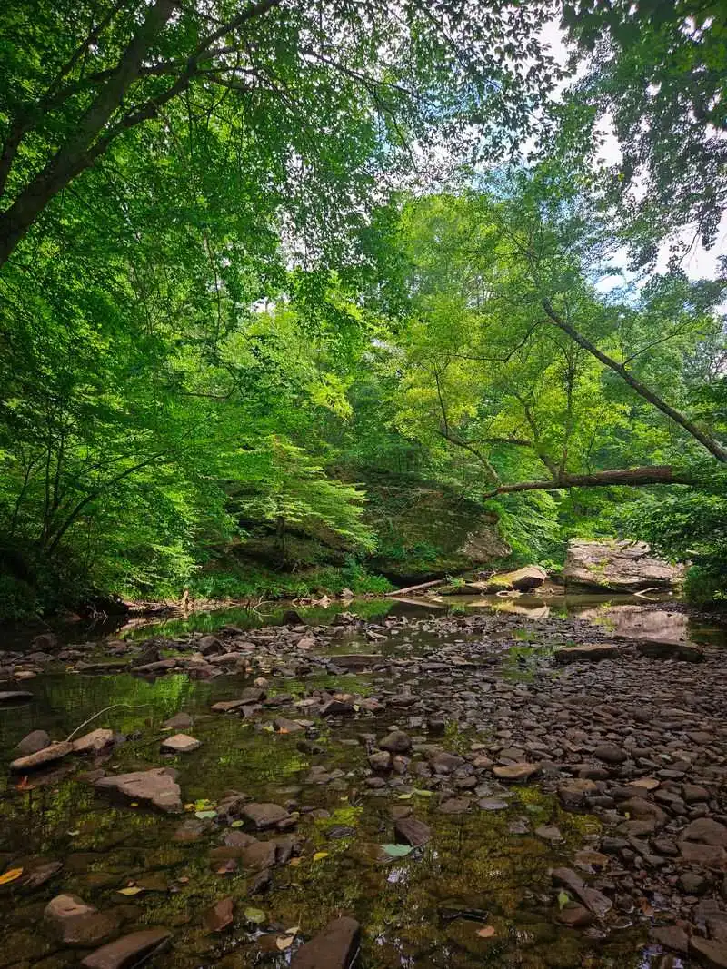 Bell Smith Springs: Illinois&rsquo; Ozark Outlier