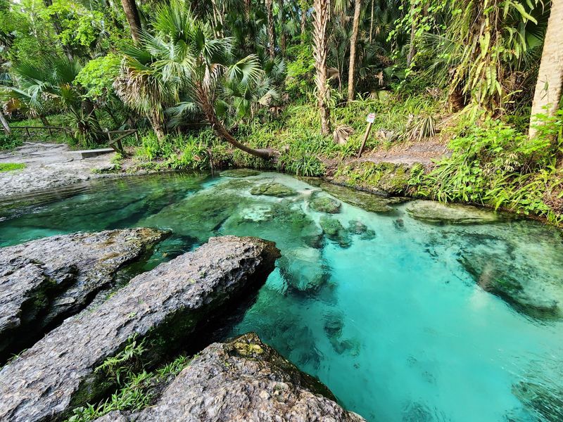 Crystal-Clear Springs