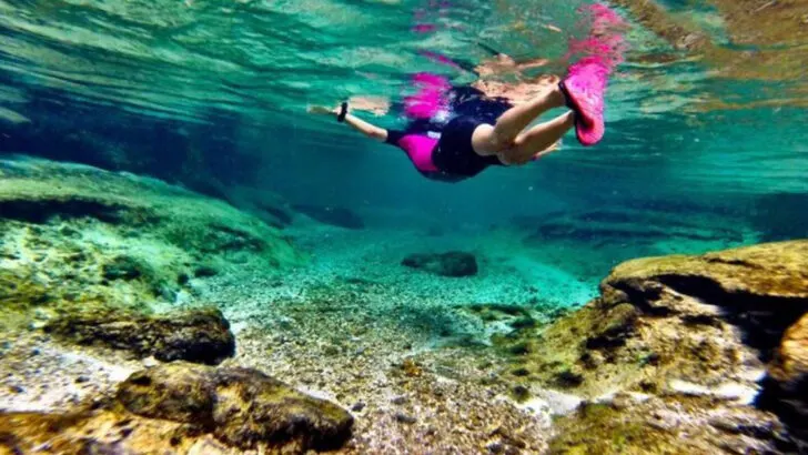 This under-the-radar Florida park has clear springs and a naturally flowing lazy river