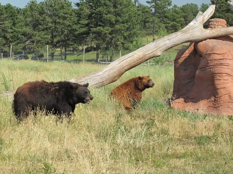 Photo tips for the best views