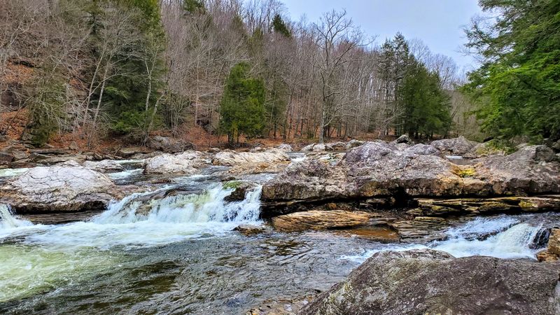 Why This Forest Rewards Curious Hikers
