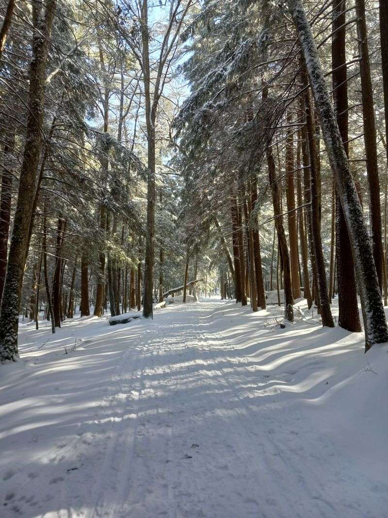 Best Seasons and Weather Strategy