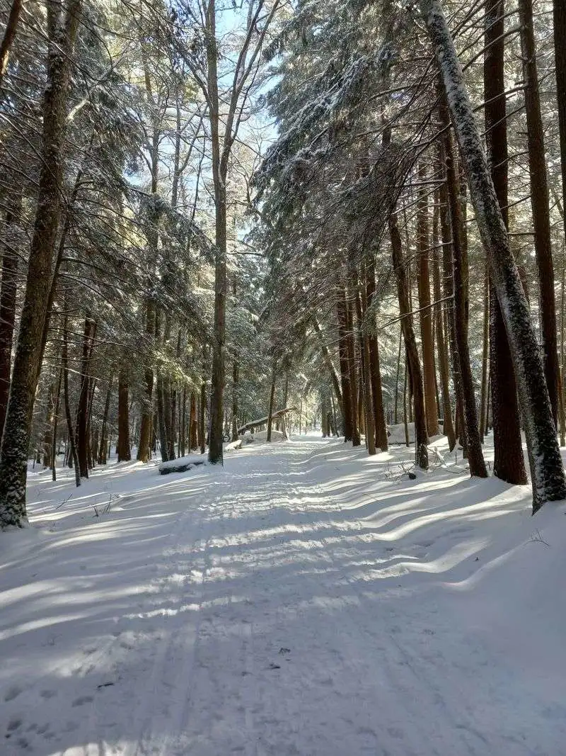 Best Seasons and Weather Strategy