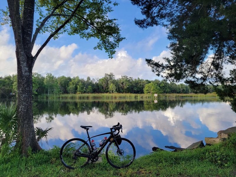 Marshlands and Waterside Vistas