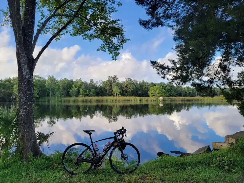 Marshlands and Waterside Vistas