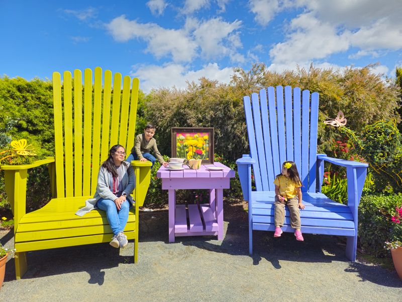 Sweet Pea Maze and family activities