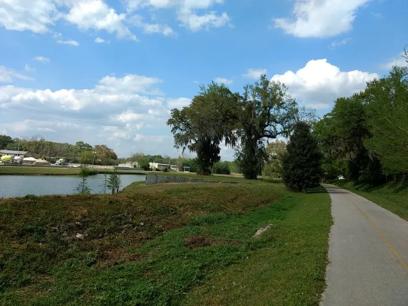 Cultural and Community Touchpoints