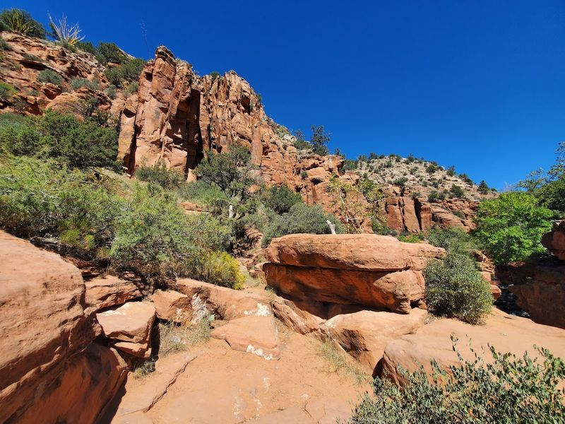 The Desert Environment and Scenery Along the Way