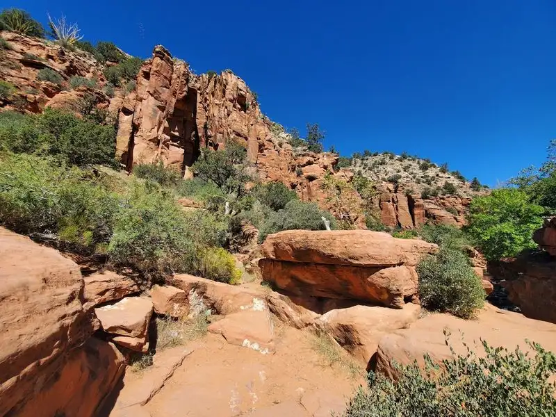The Desert Environment and Scenery Along the Way