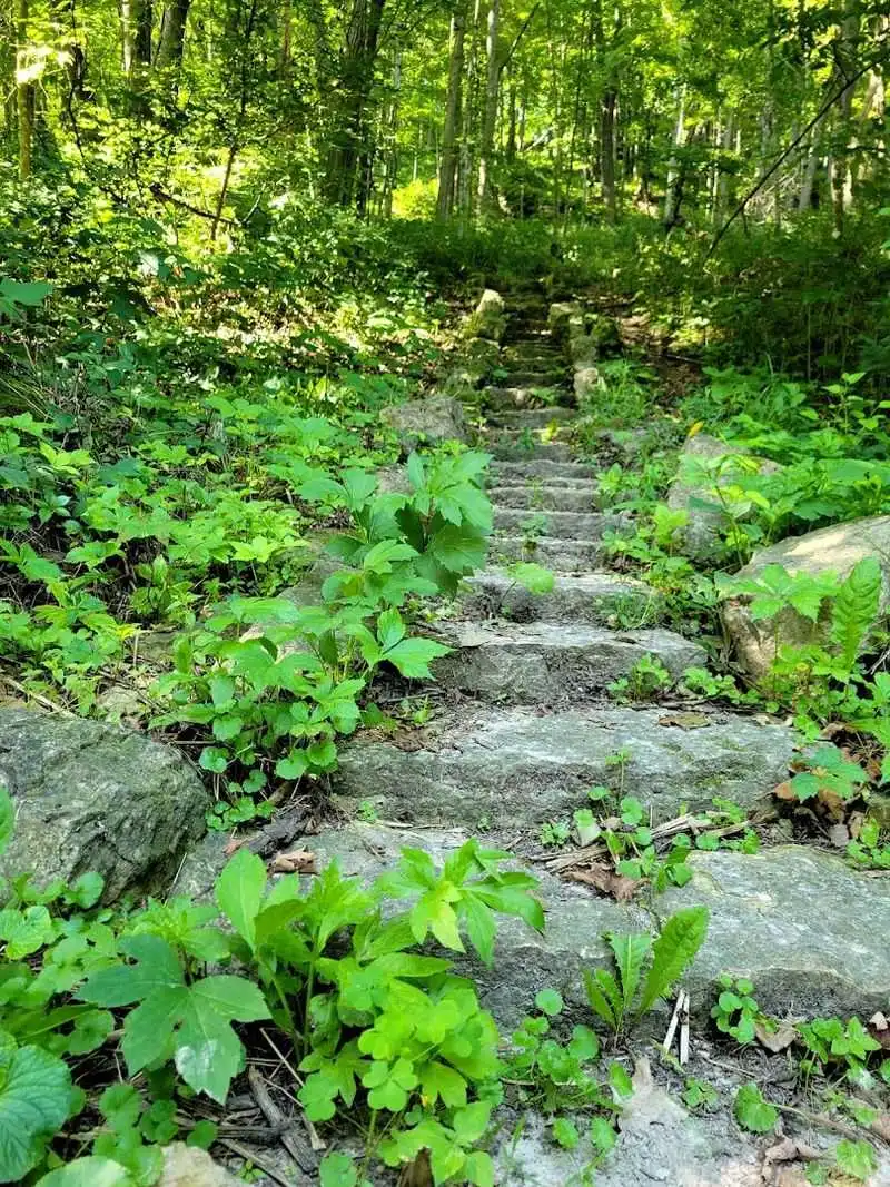 Picnicking in Natural Serenity