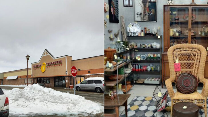 Treasure Hunters Travel Across Illinois for the Finds Inside This Packed Antique Mall