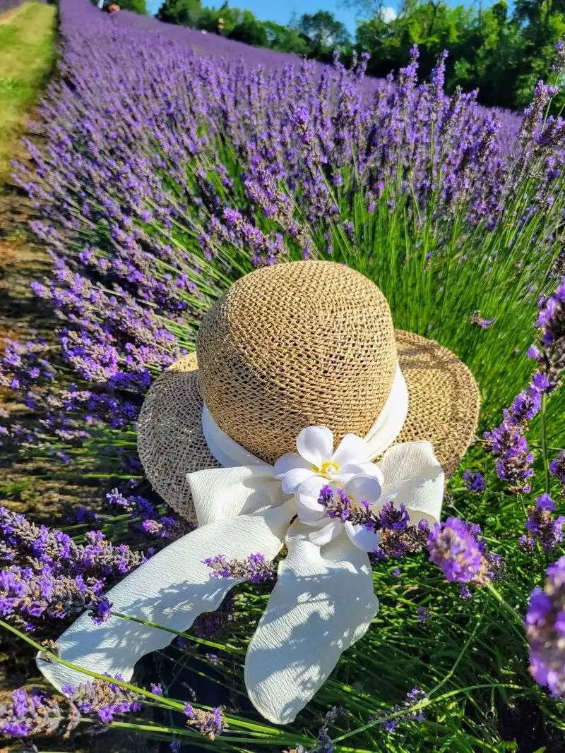 Photo-perfect moments: golden hour tips and locations