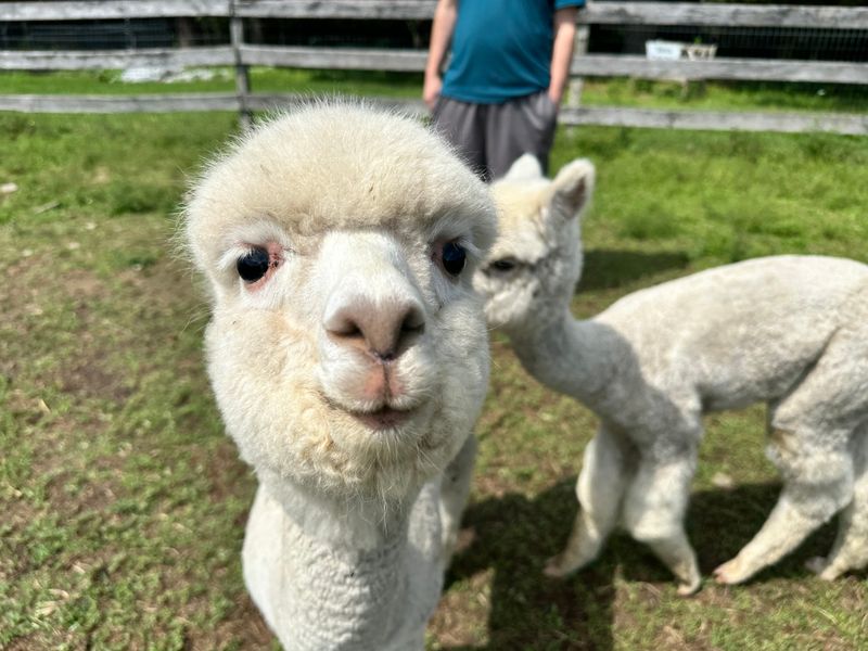 Photo Tips And Memory Making